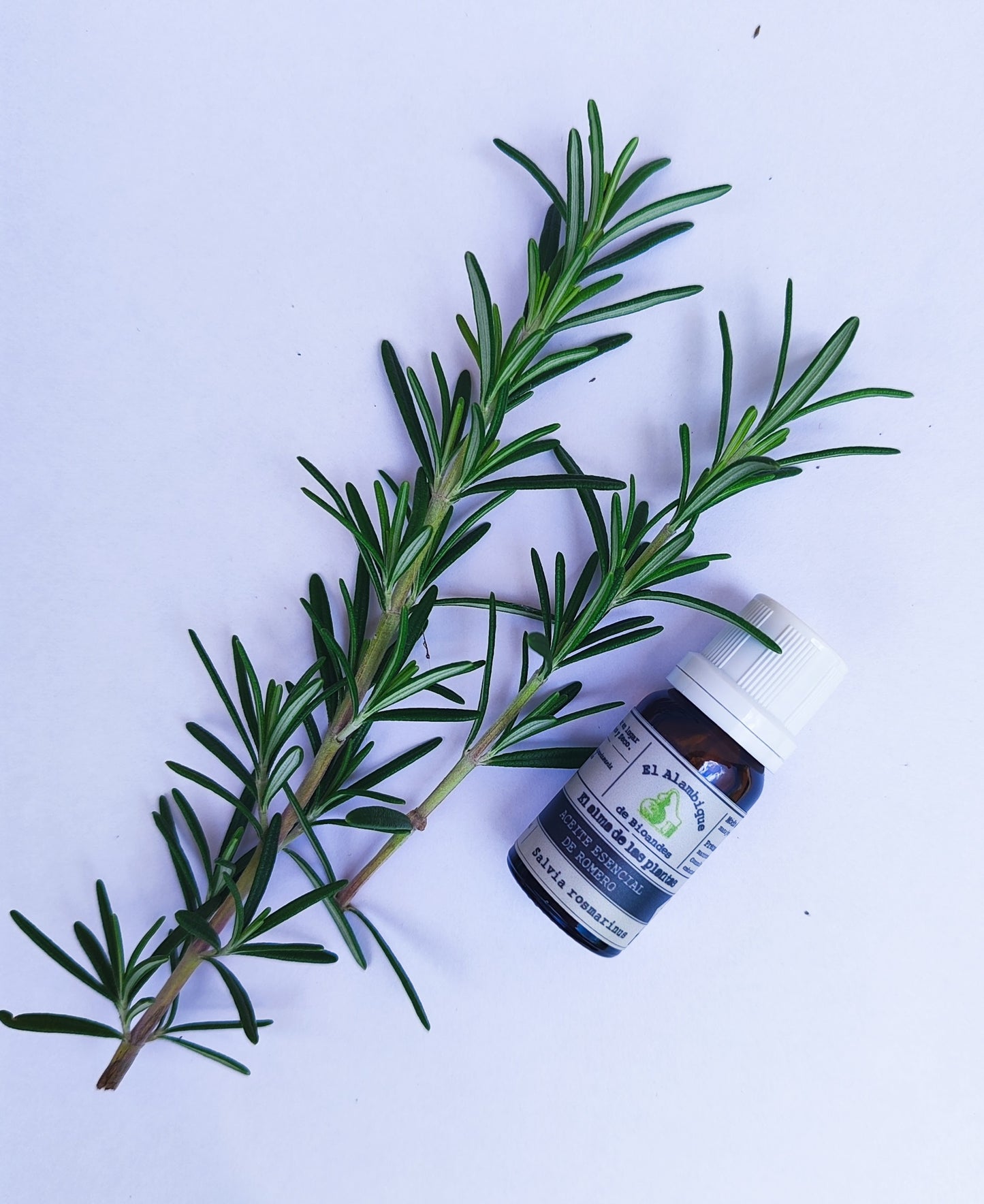 Aceite esencial de romero x 10 ml