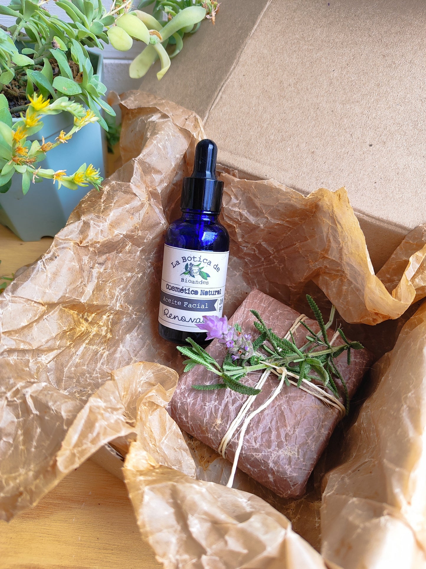 KIT Aceite facial renovación x28 gr y Jabón Artesanal de ROMERO