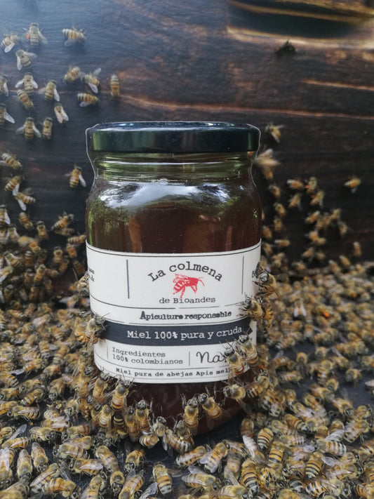 Miel Reserva Bioandes Sopetrán 450 gr - Edición especial