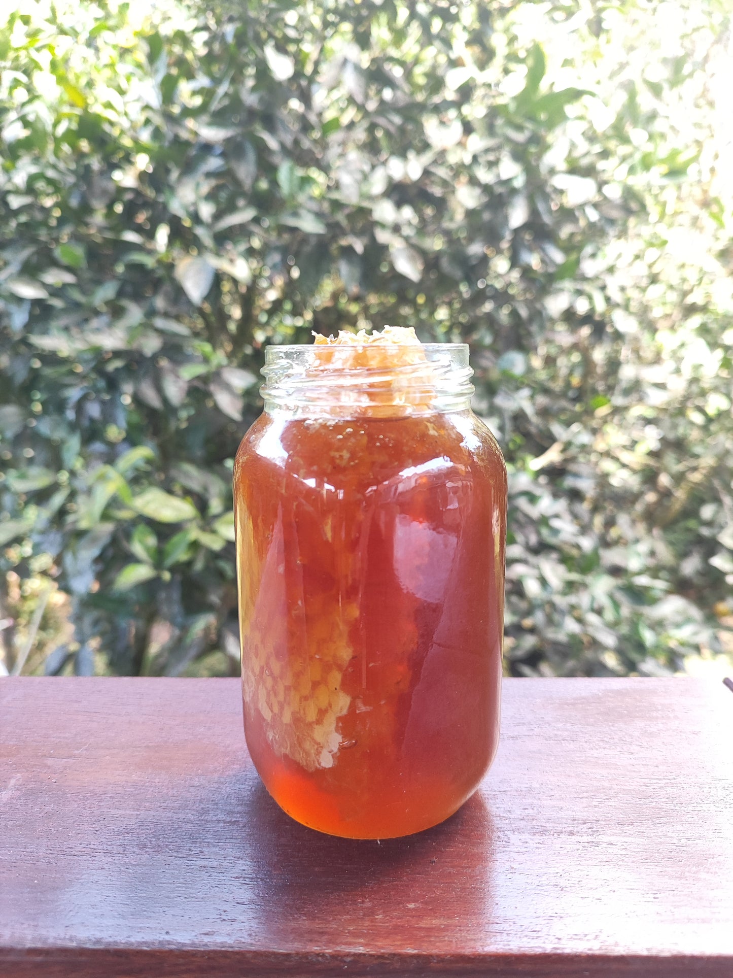 Miel de abejas cruda con panal